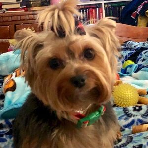 Meet your Posher, Mary beth